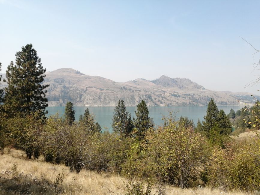 Beautiful lake and forest landscape in Canada, perfect for nature and travel themes.
